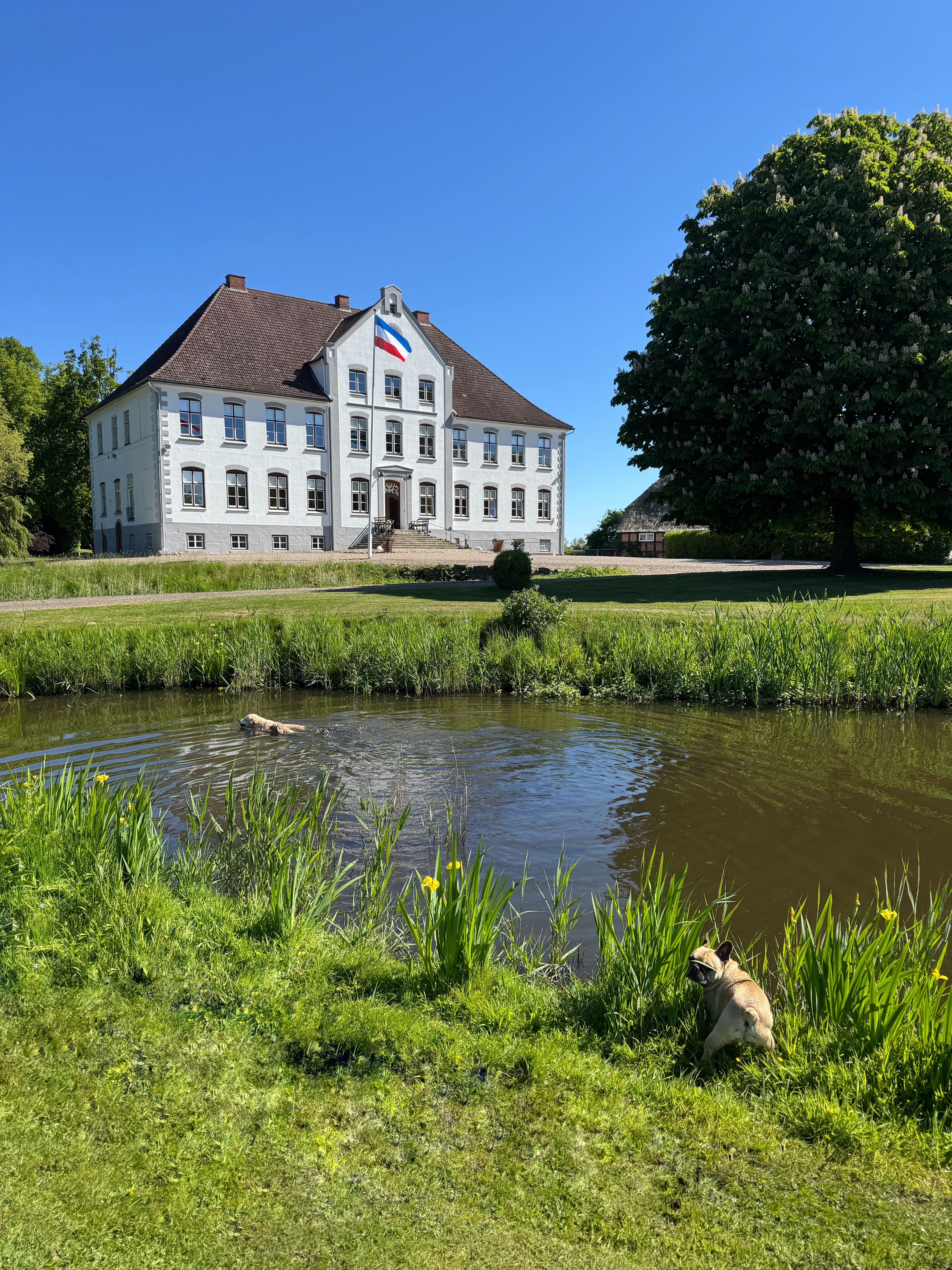 Das Herrenhaus auf Gut Olpenitz, erbaut 1618
