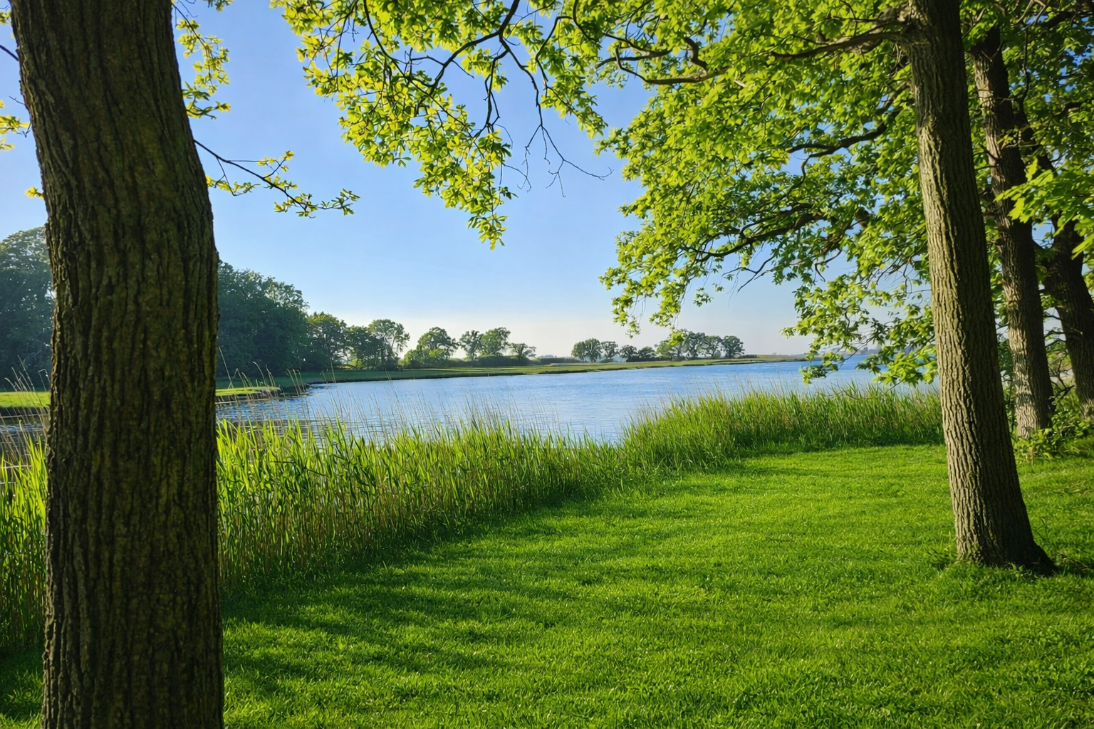 Blick auf die Schlei